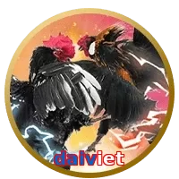 daiviet